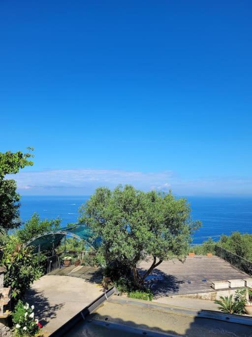 Villa Sun & Relax, Relaxing Location With Seaview Massa Lubrense Exterior foto